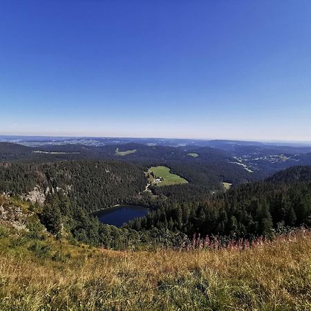 Fewo 1 - Residenz Schauinsland - Mit Sauna, E-Ladestation, Todtnauberg, Bei Feldberg ภายนอก รูปภาพ