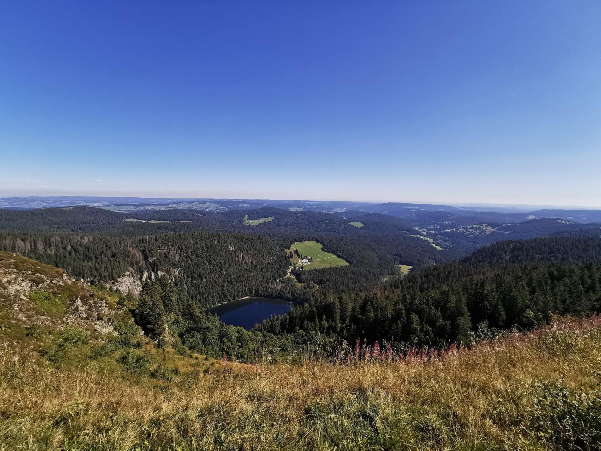 Fewo 1 - Residenz Schauinsland - Mit Sauna, E-Ladestation, Todtnauberg, Bei Feldberg ภายนอก รูปภาพ