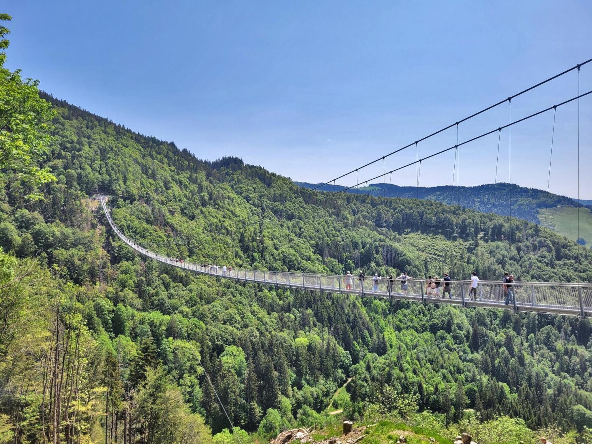 Fewo 1 - Residenz Schauinsland - Mit Sauna, E-Ladestation, Todtnauberg, Bei Feldberg ภายนอก รูปภาพ
